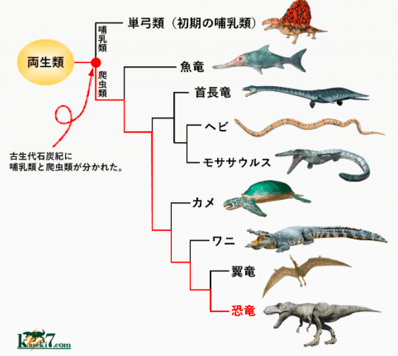 恐龙时代分为哪几个纪