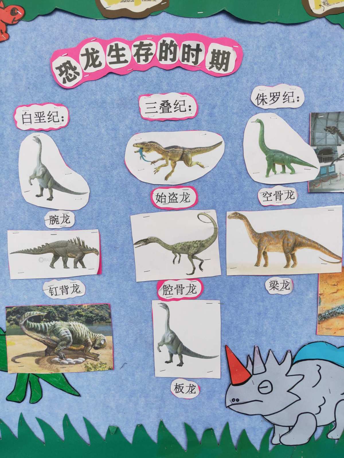 恐龙时代的奇妙生物