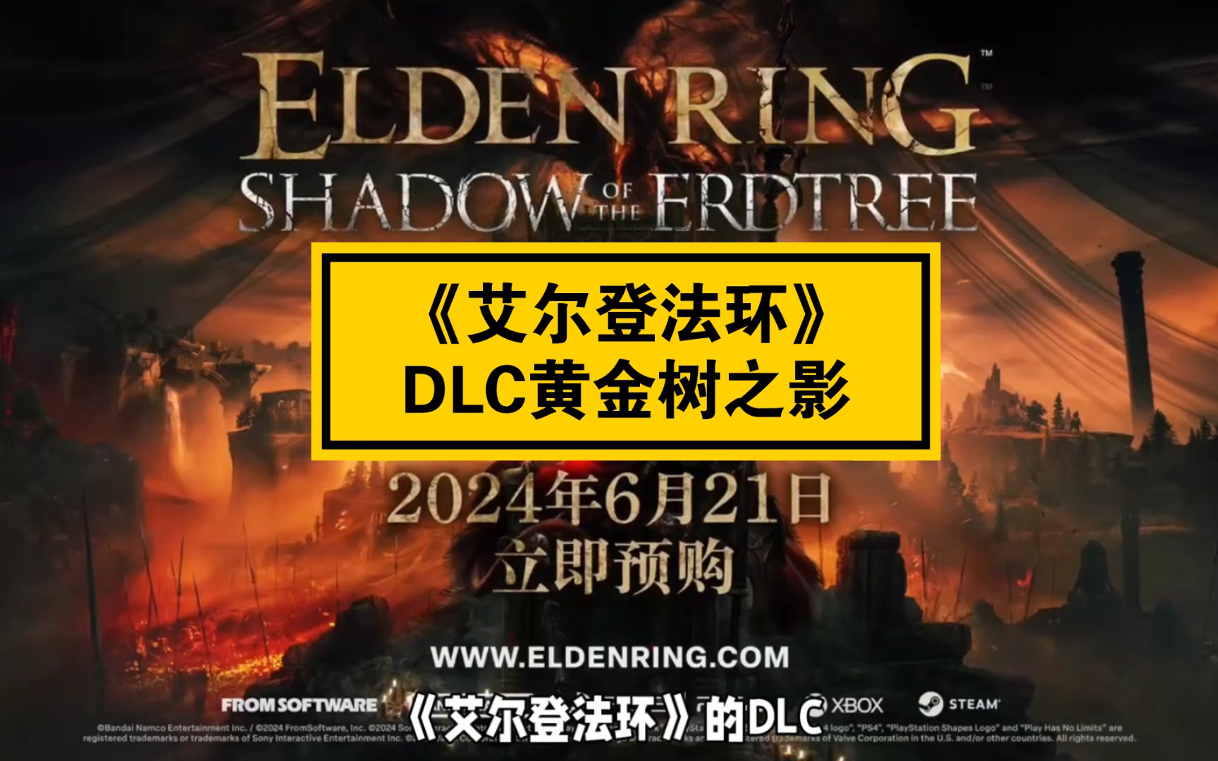 二、DLC价格