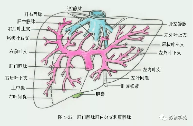 二、恐龙岛游戏的引流效果